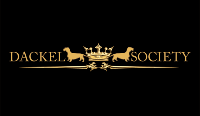 Teckel Magazine: Presenting We are the band, you are the music by Dackel Society